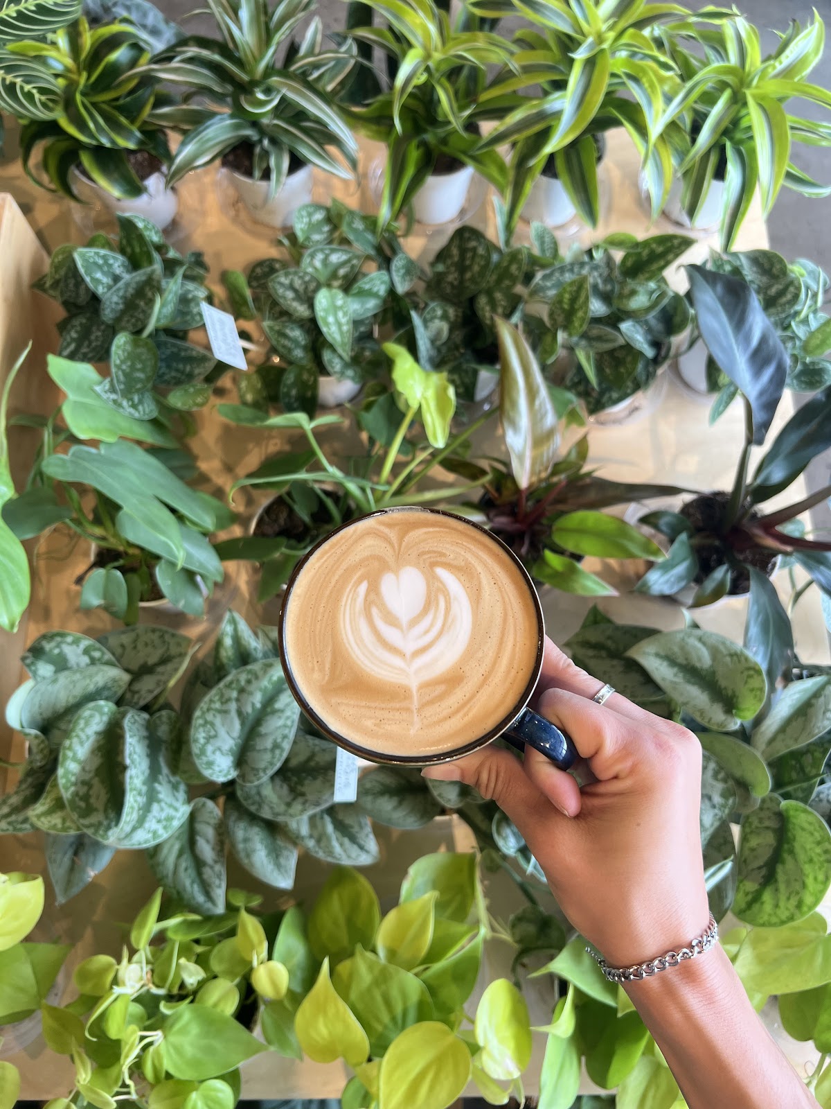 SACHI.LA — café photo 2