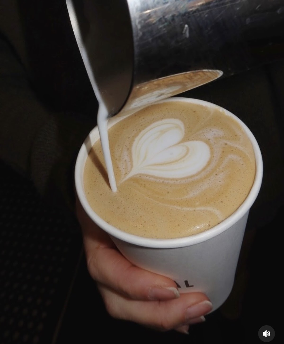 Federal Coffee — café photo 6