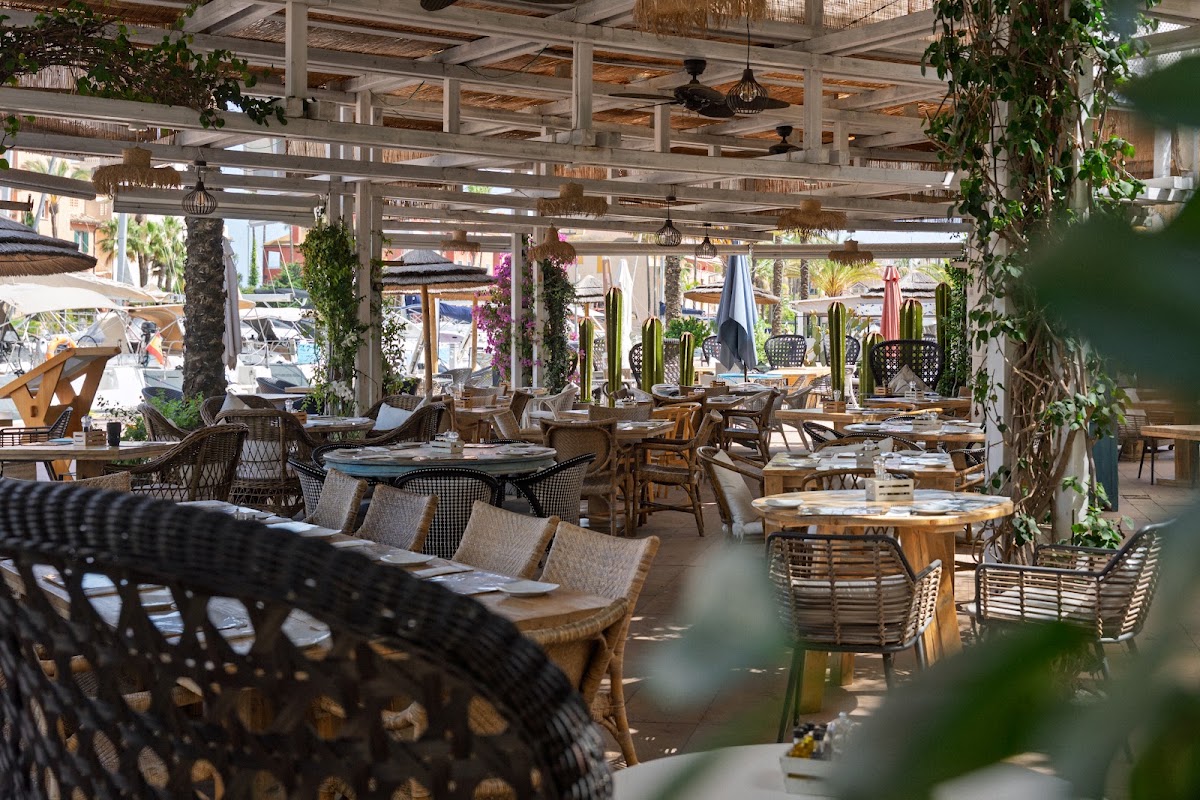 Marina Espresso Sotogrande — café photo 6