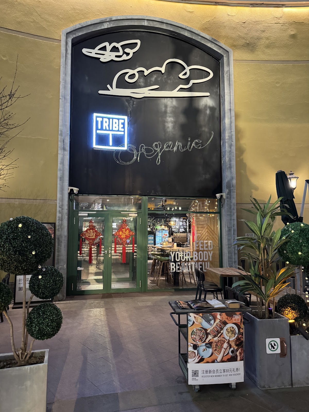 Tribe Coffee — café photo 1