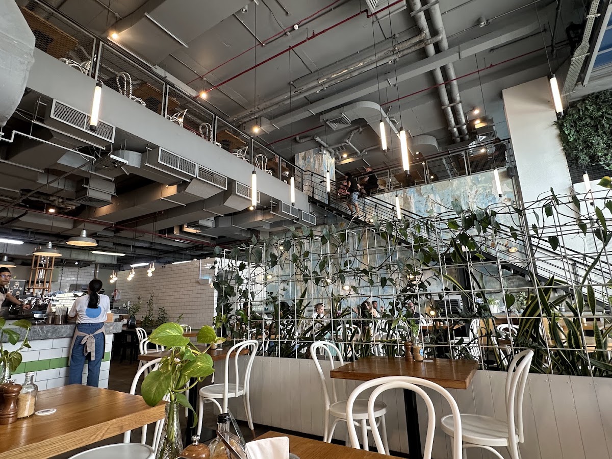 Tom & Serg — café photo 6