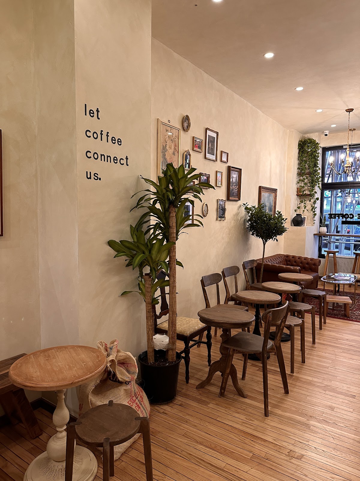 Sote Coffee Roasters — café photo 1