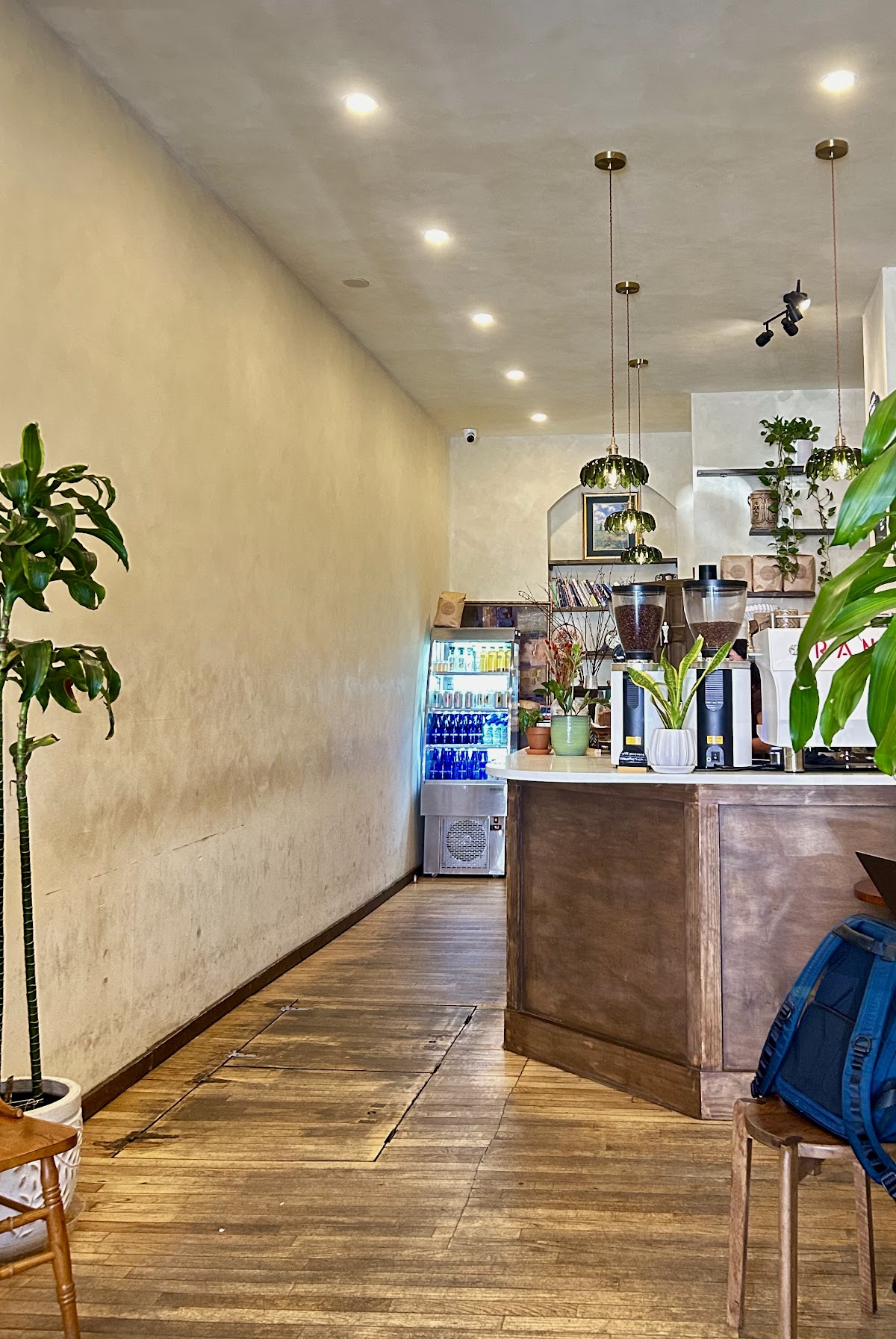 Sote Coffee Roasters — café photo 2