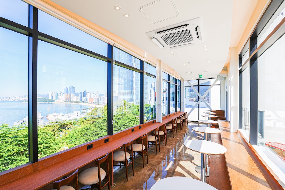 Dalmaji Hill Coffee — café photo 1