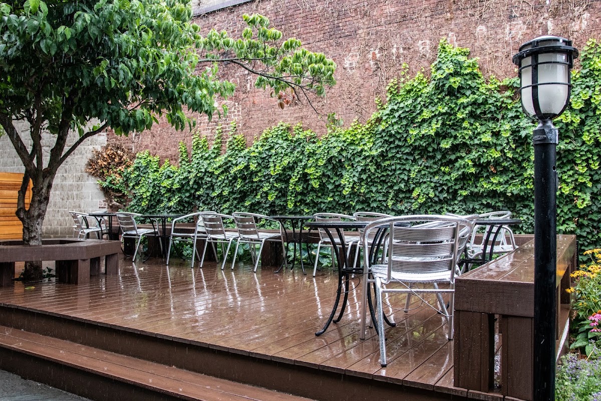 Bloc Cafe Somerville — café photo 1