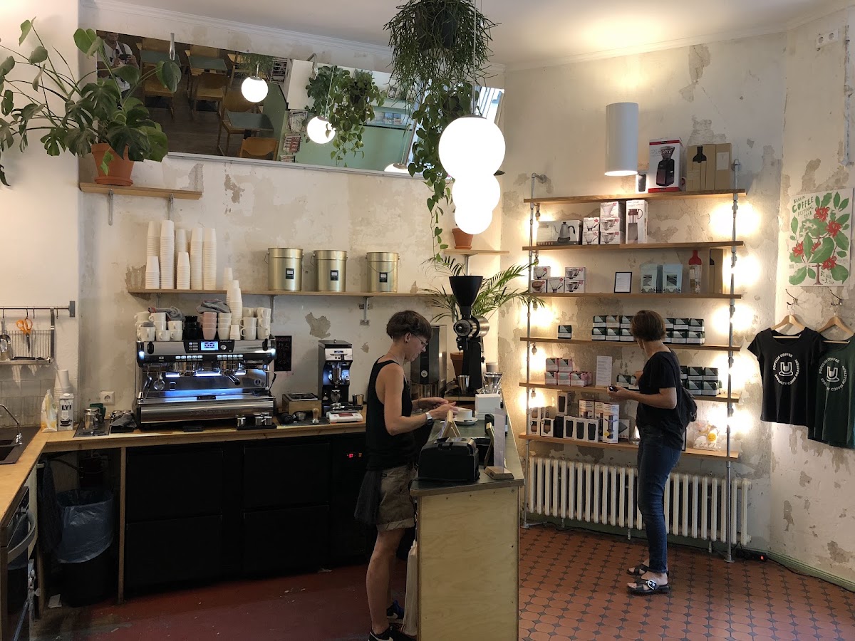 Populus Coffee — café photo 5