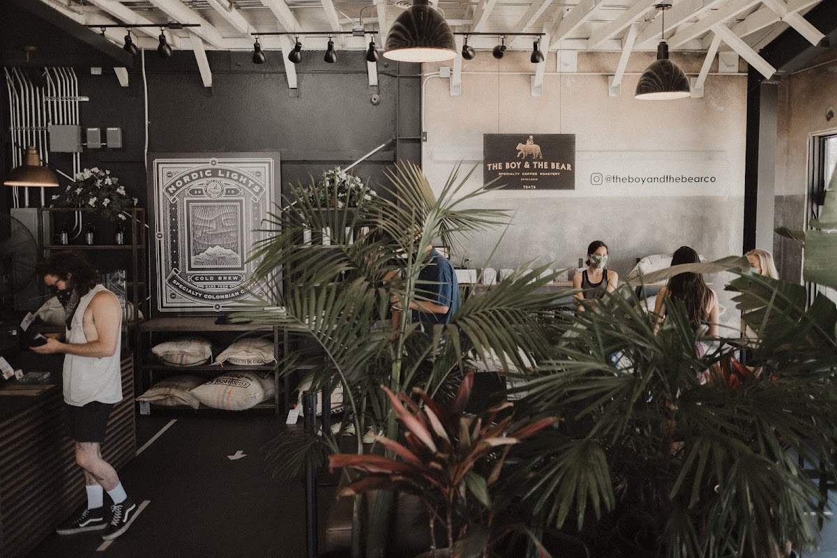 The Boy & The Bear - Coffee Roastery — café photo 1
