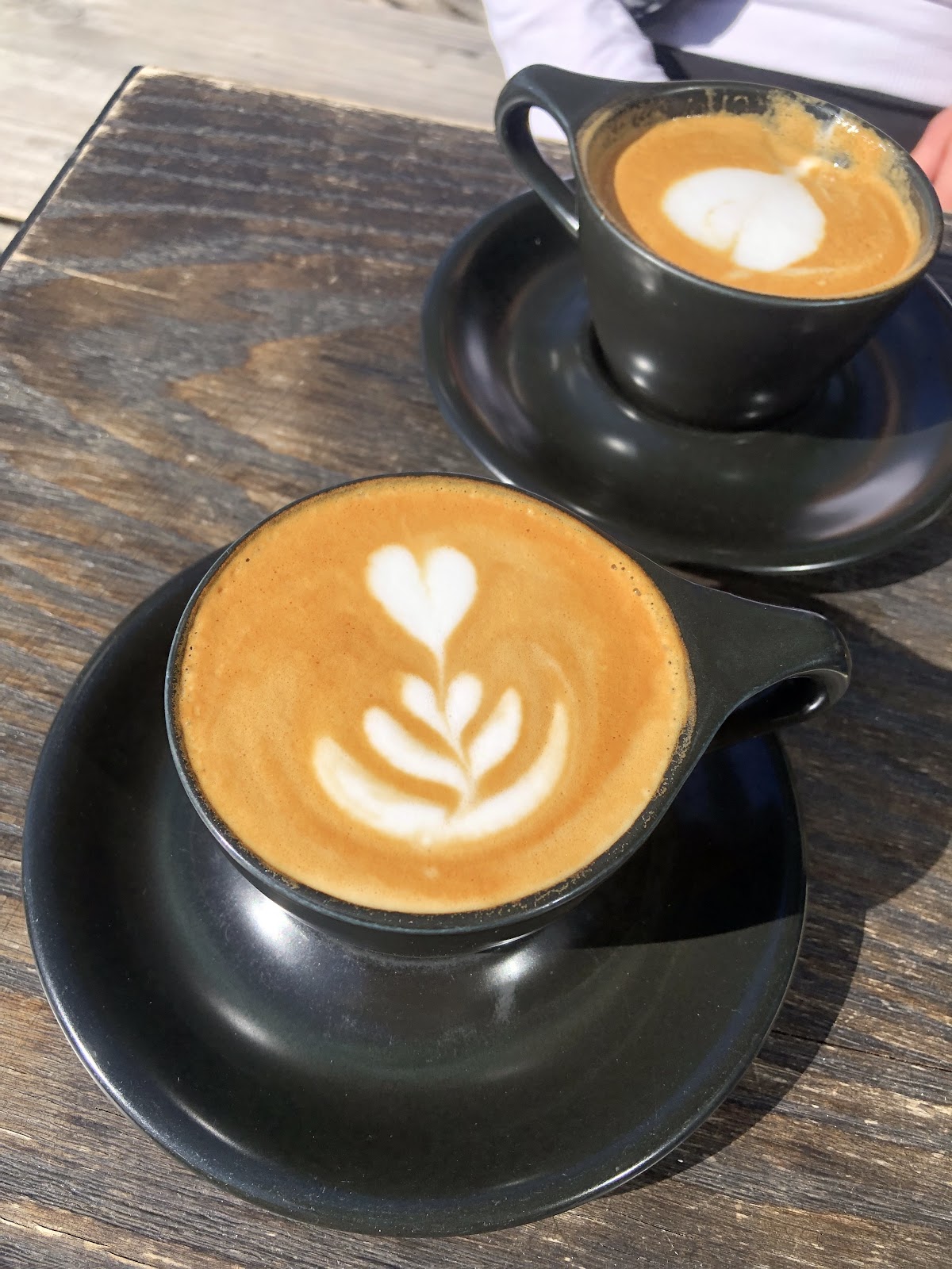 The Boy & The Bear - Coffee Roastery — café photo 3