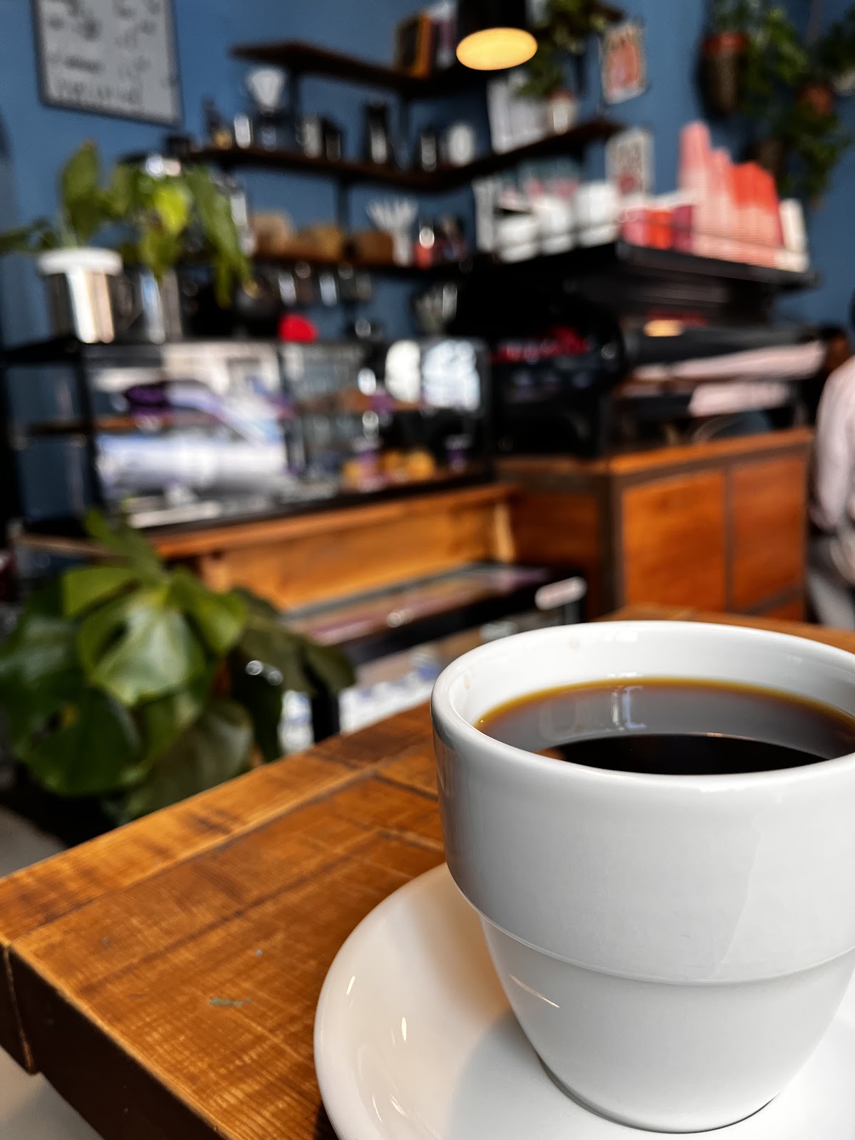 Santa Kafeína — café photo 3