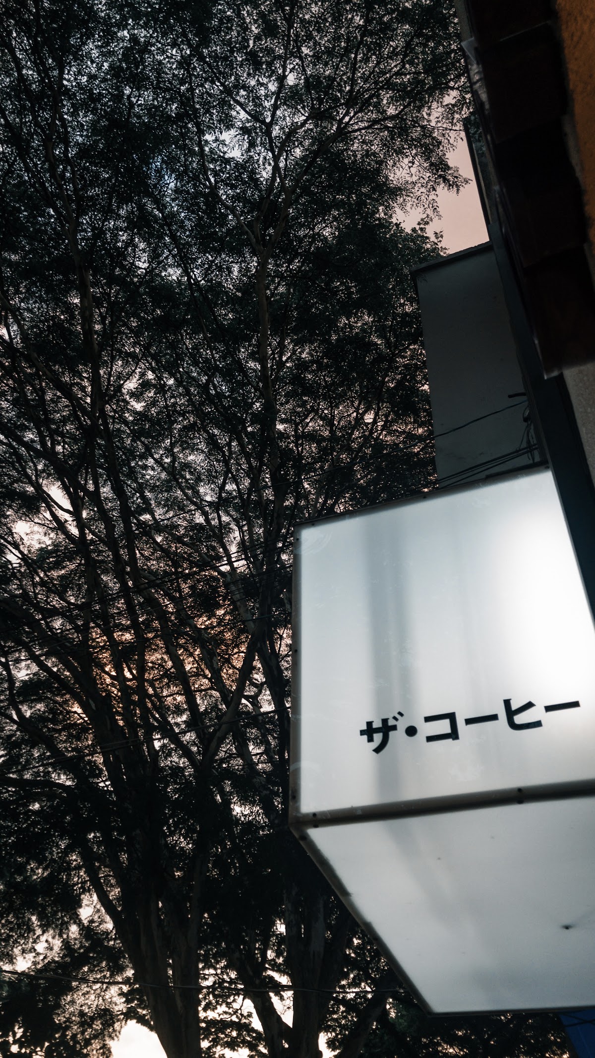 Coffee & Joy Pinheiros — café photo 3