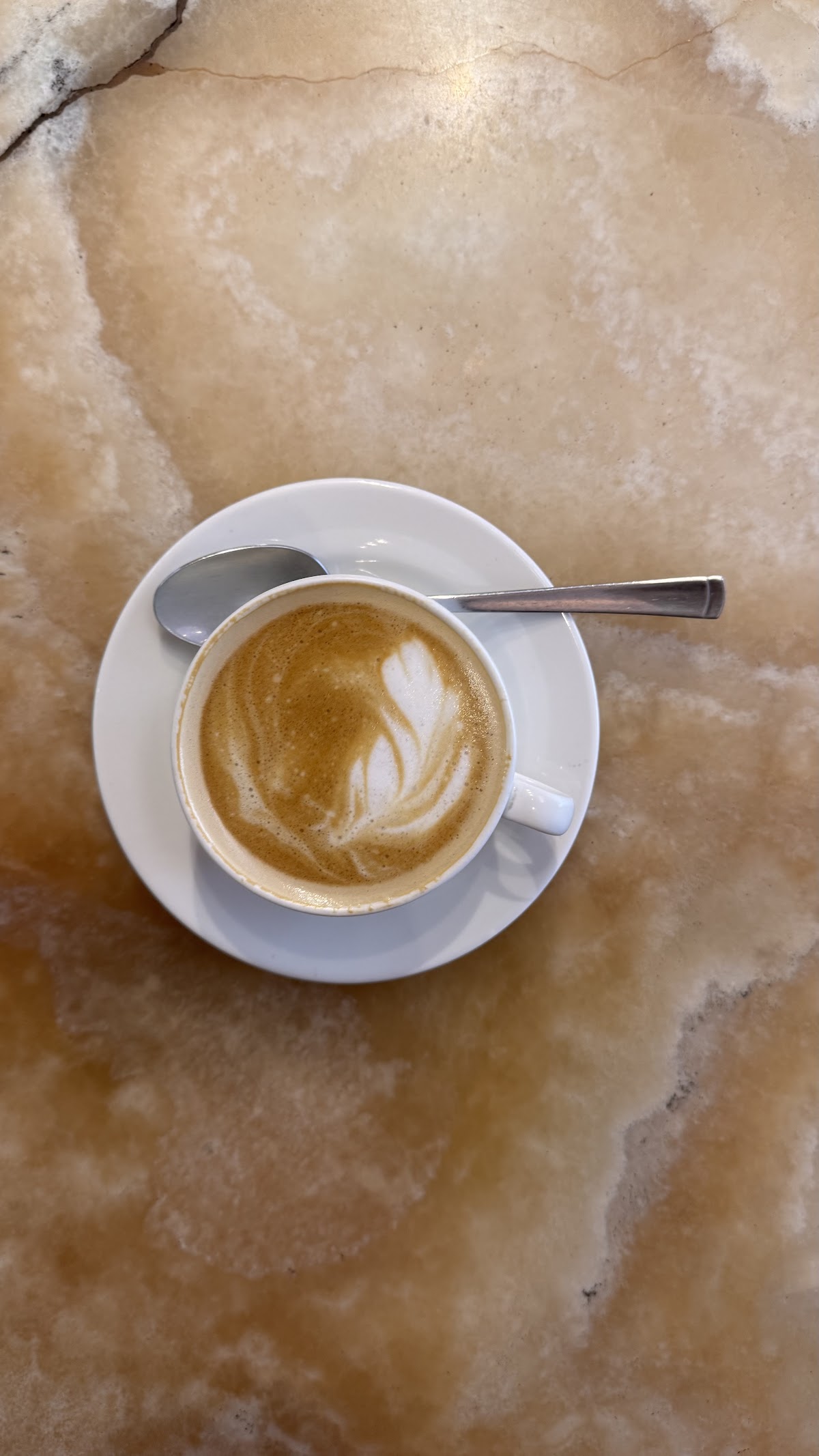 Sip Coffee House — café photo 6