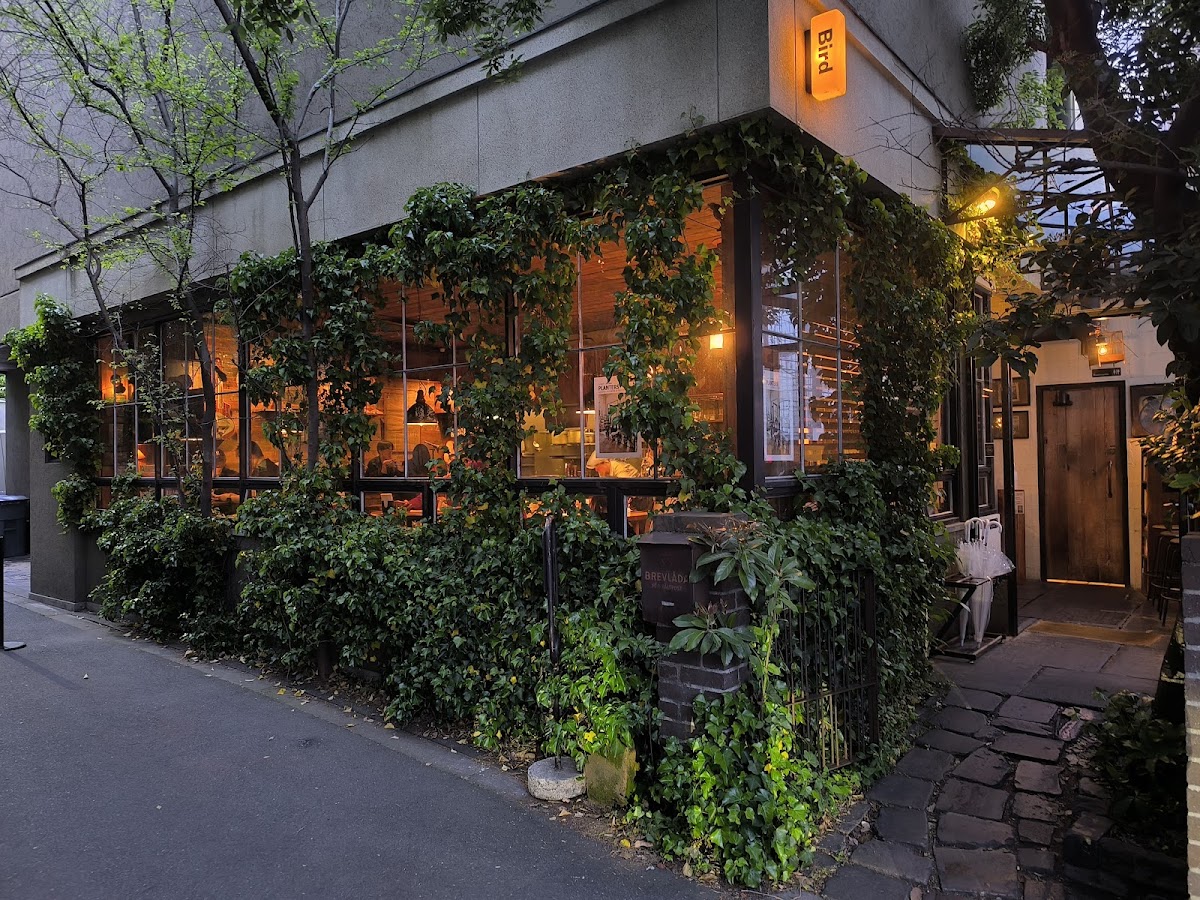 Bird Coffee — café photo 5