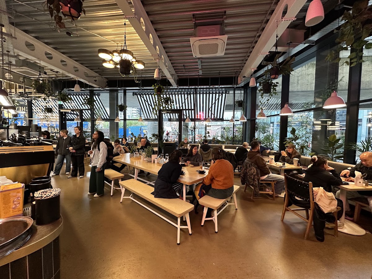 Flying Horse Coffee — café photo 1