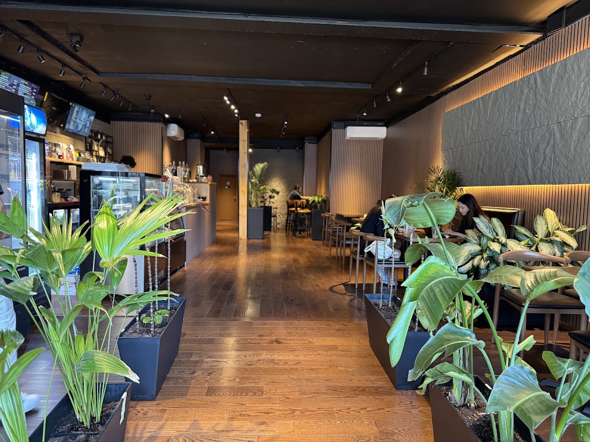 Ostro Cafe Astoria — café photo 5