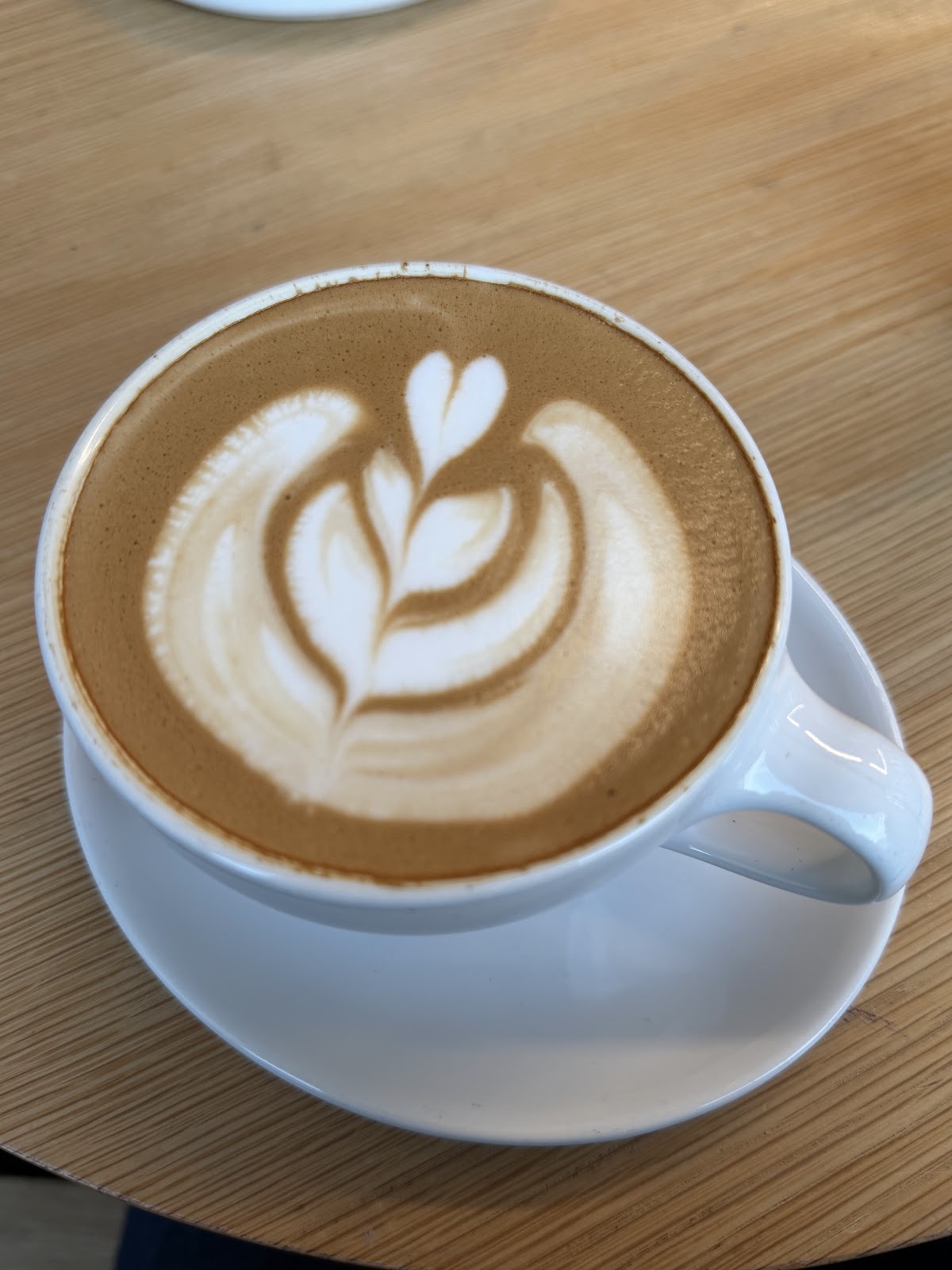 Blue Bottle Coffee CA 94115 — café photo 3