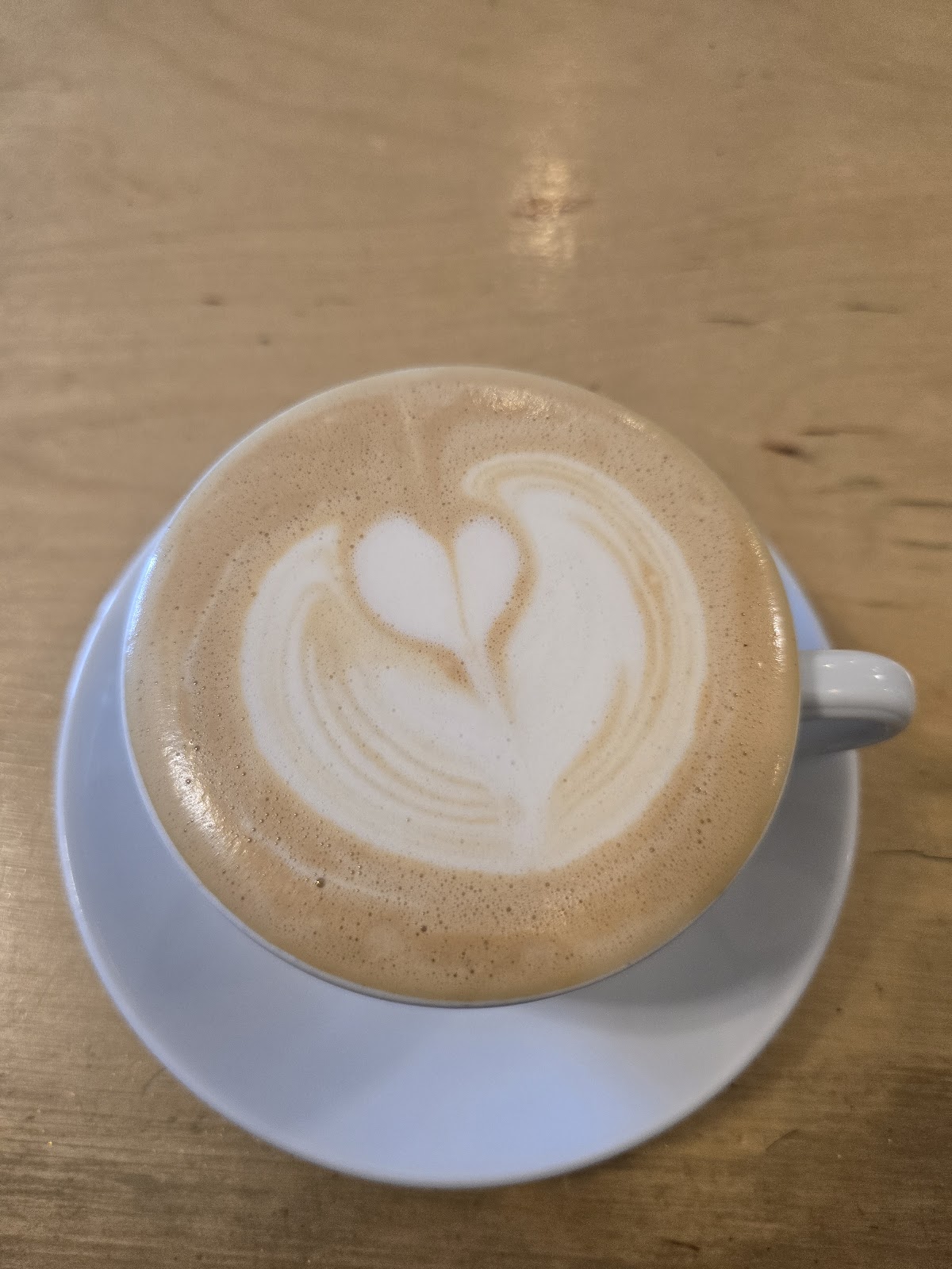 Lab Coffee & Roasters — café photo 3