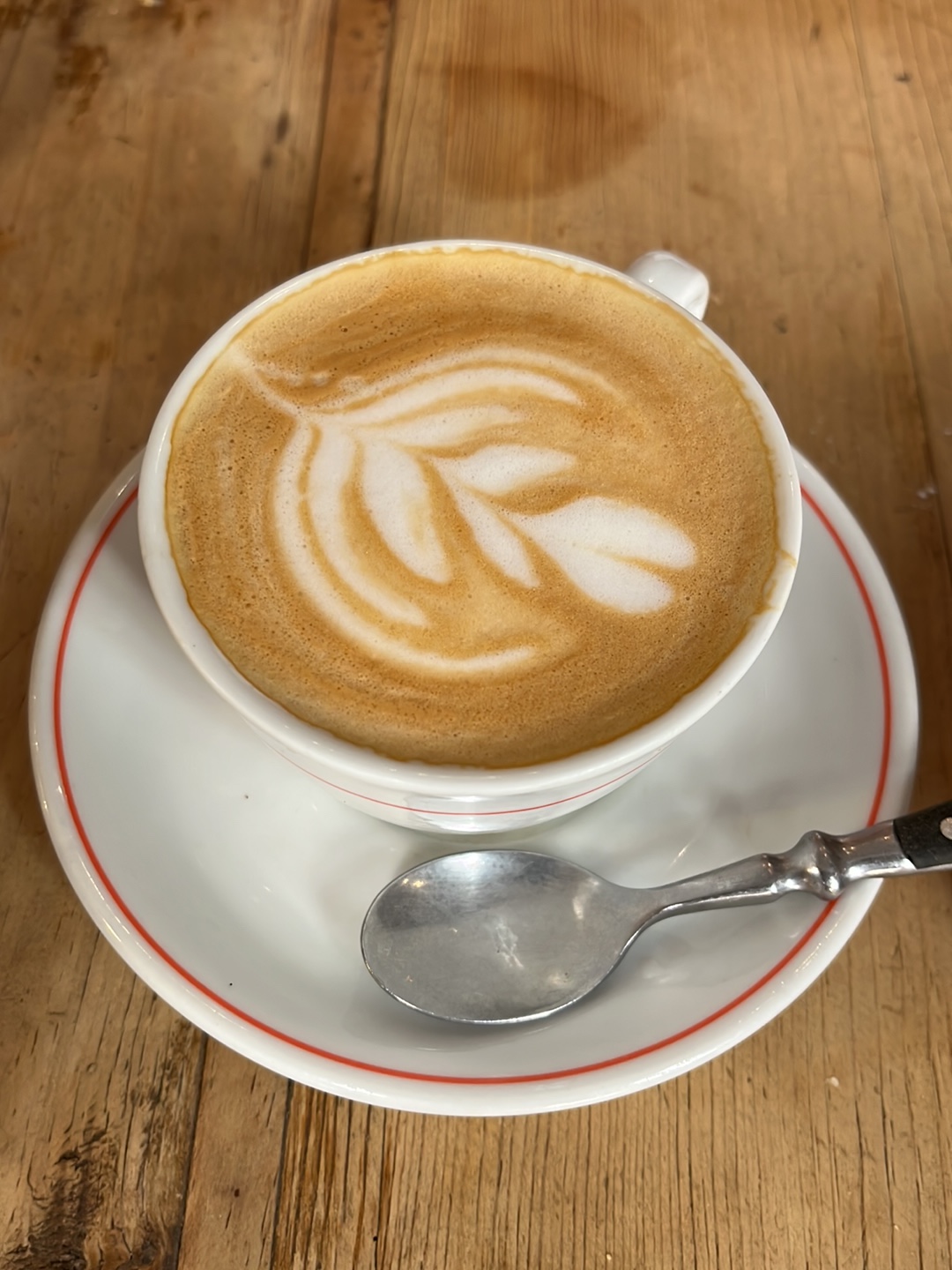 Bicioci Bike Cafe — café photo 5