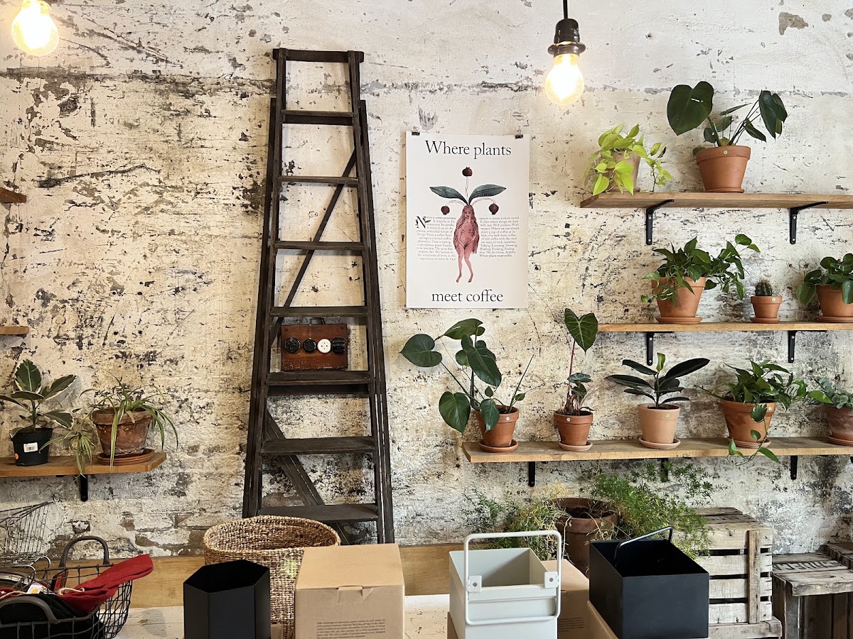 Espai Joliu — café photo 5