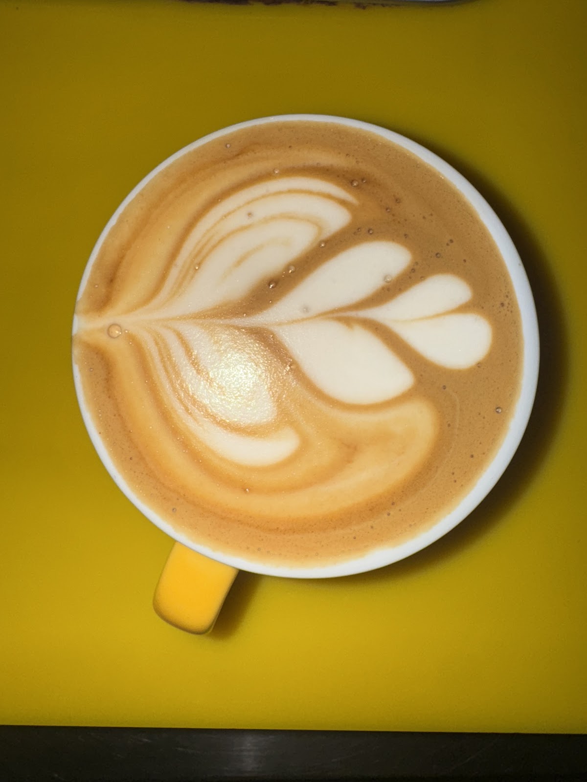 Bad Coffee — café photo 6