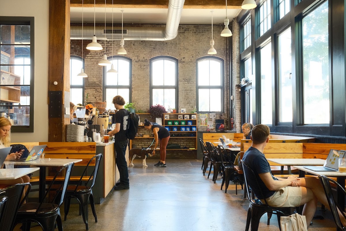 ReAnimator Coffee Kensington — café photo 1