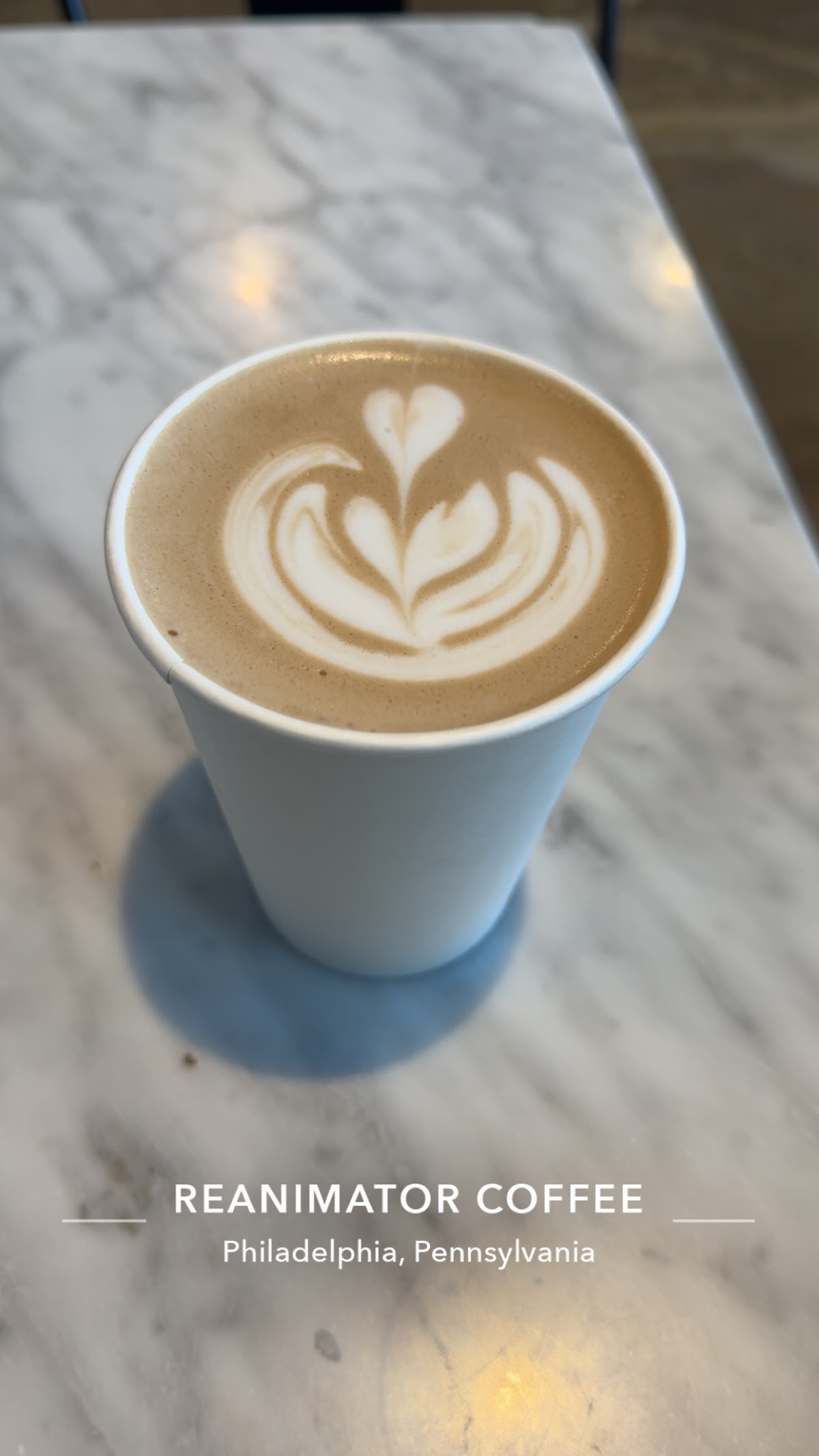 ReAnimator Coffee Kensington — café photo 4