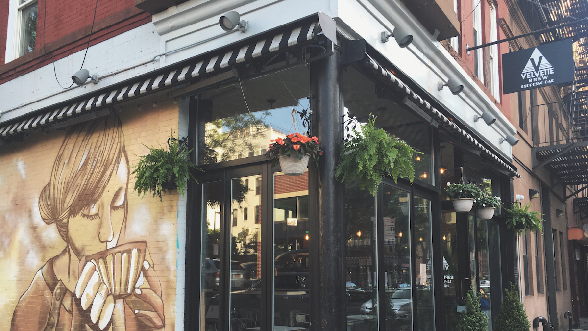 Velvette Brew — café photo 1