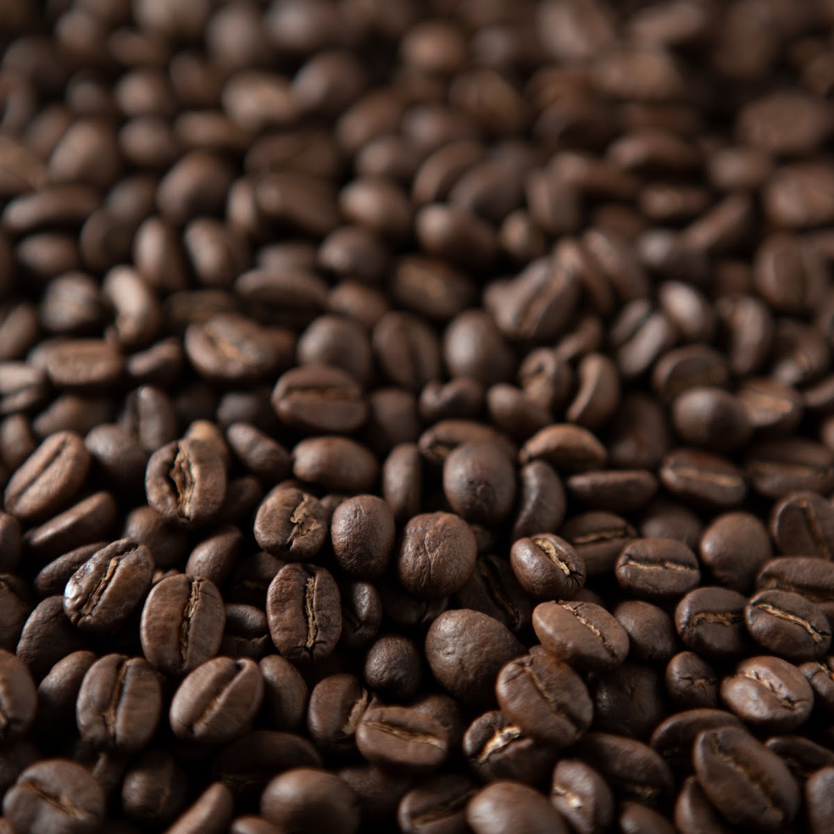 Mighty Oak Roasters — café photo 2