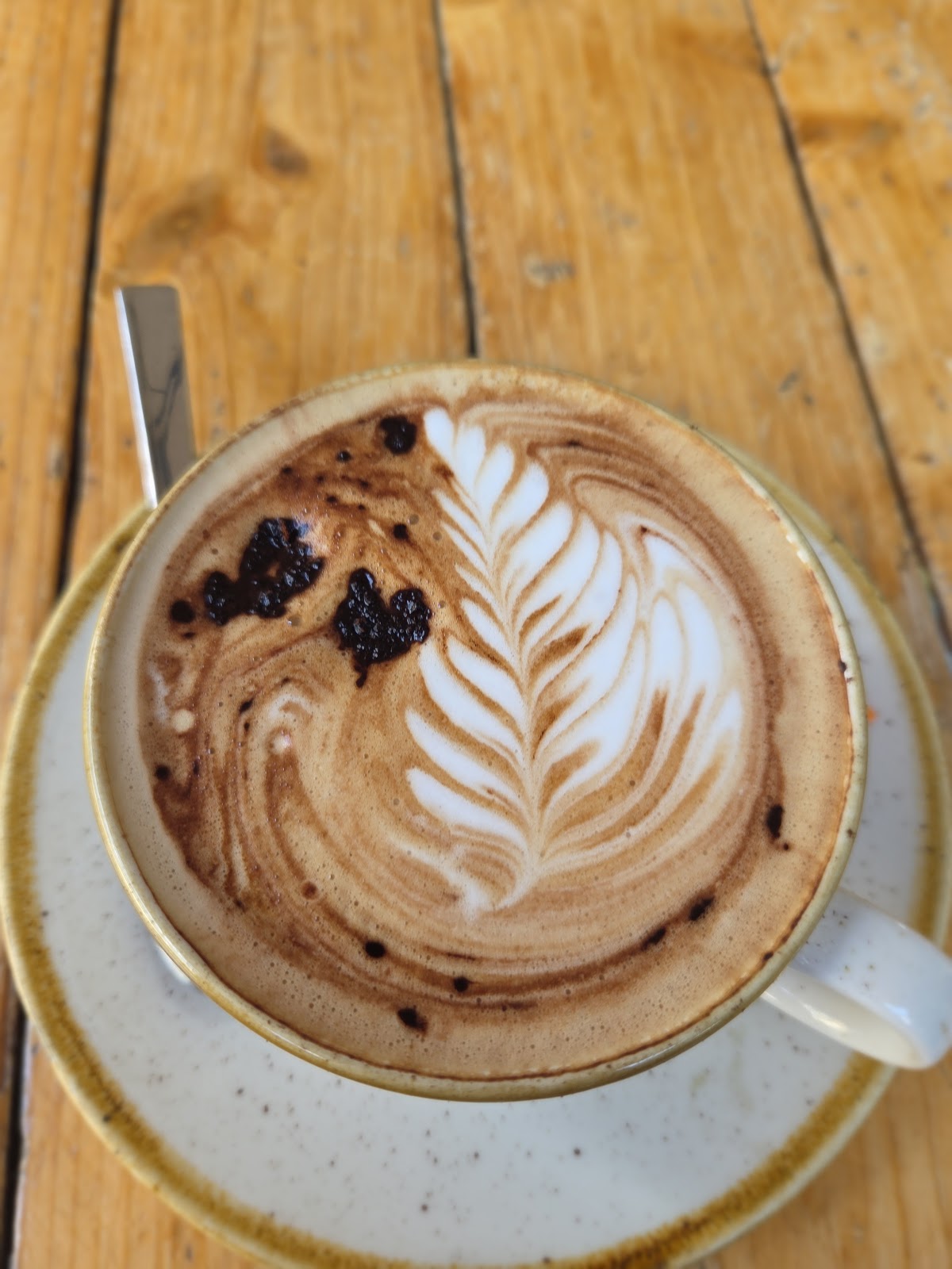 Cafe Menssana — café photo 4