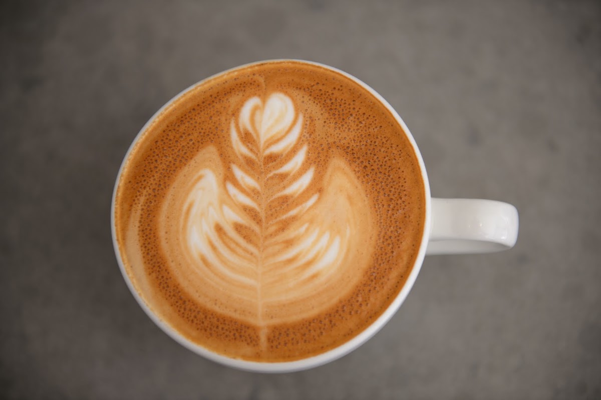 Primo Passo Coffee Co — café photo 2