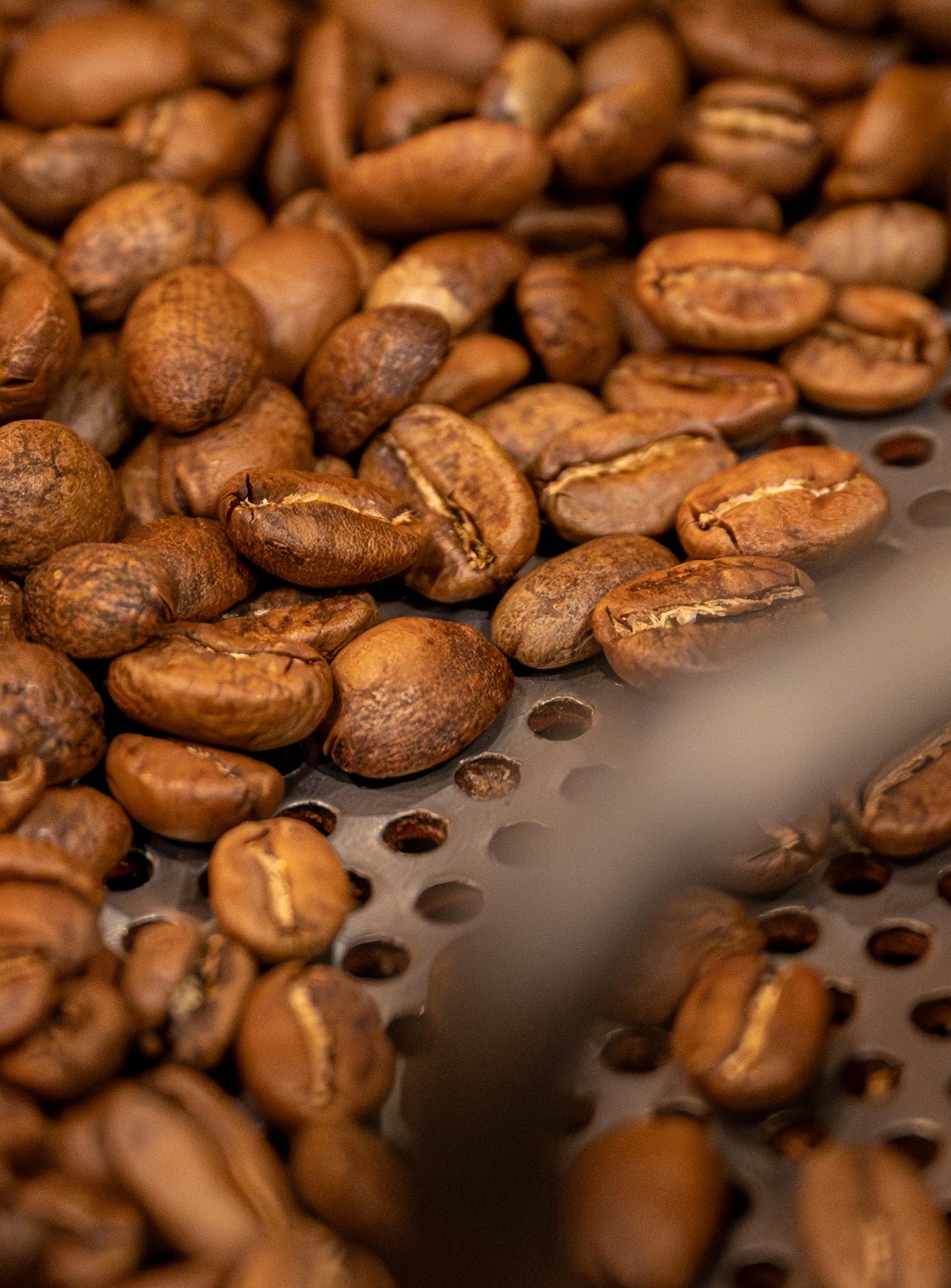 Citta Studi Coffee Lab — café photo 2