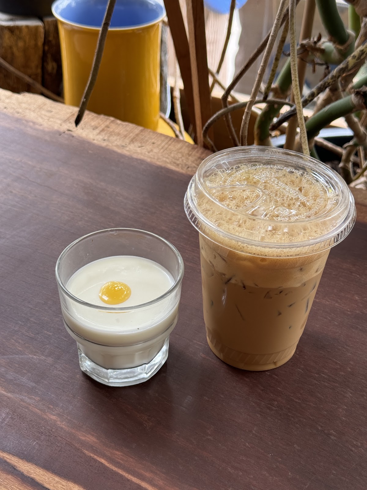 Cicada Coffee Bar — café photo 5