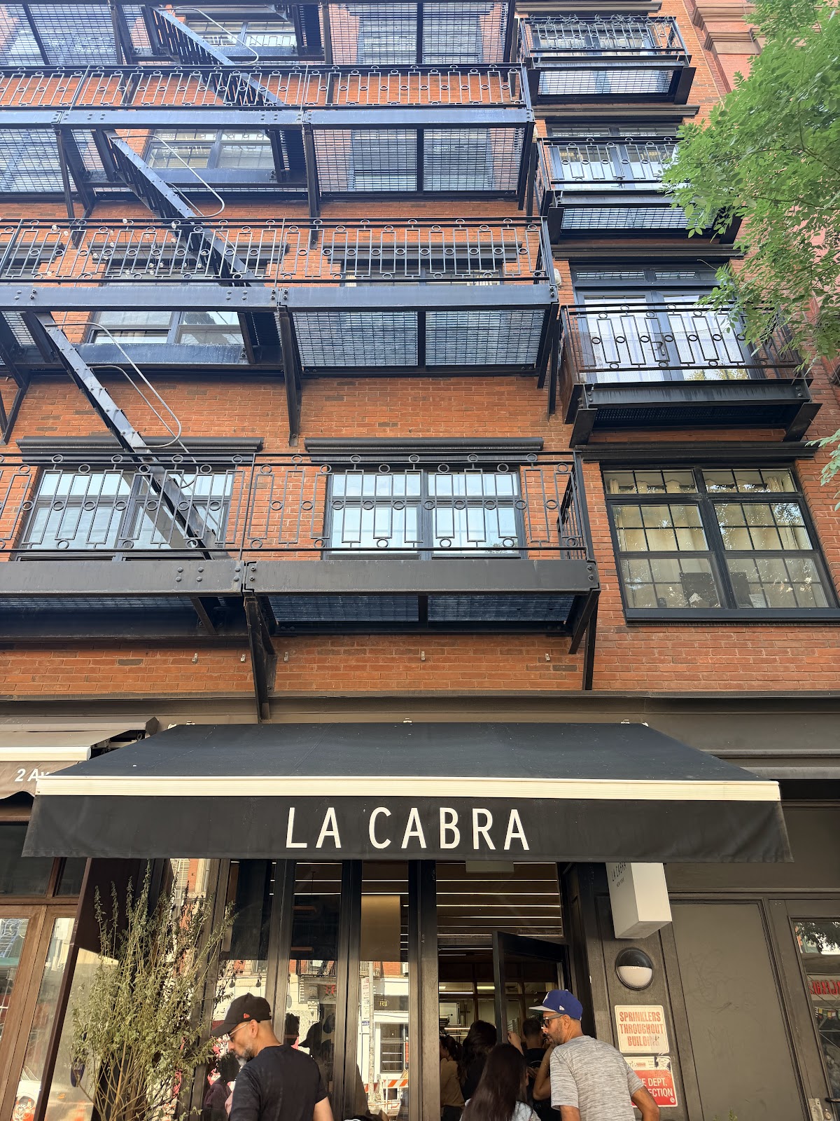 La Cabra Bakery — café photo 5
