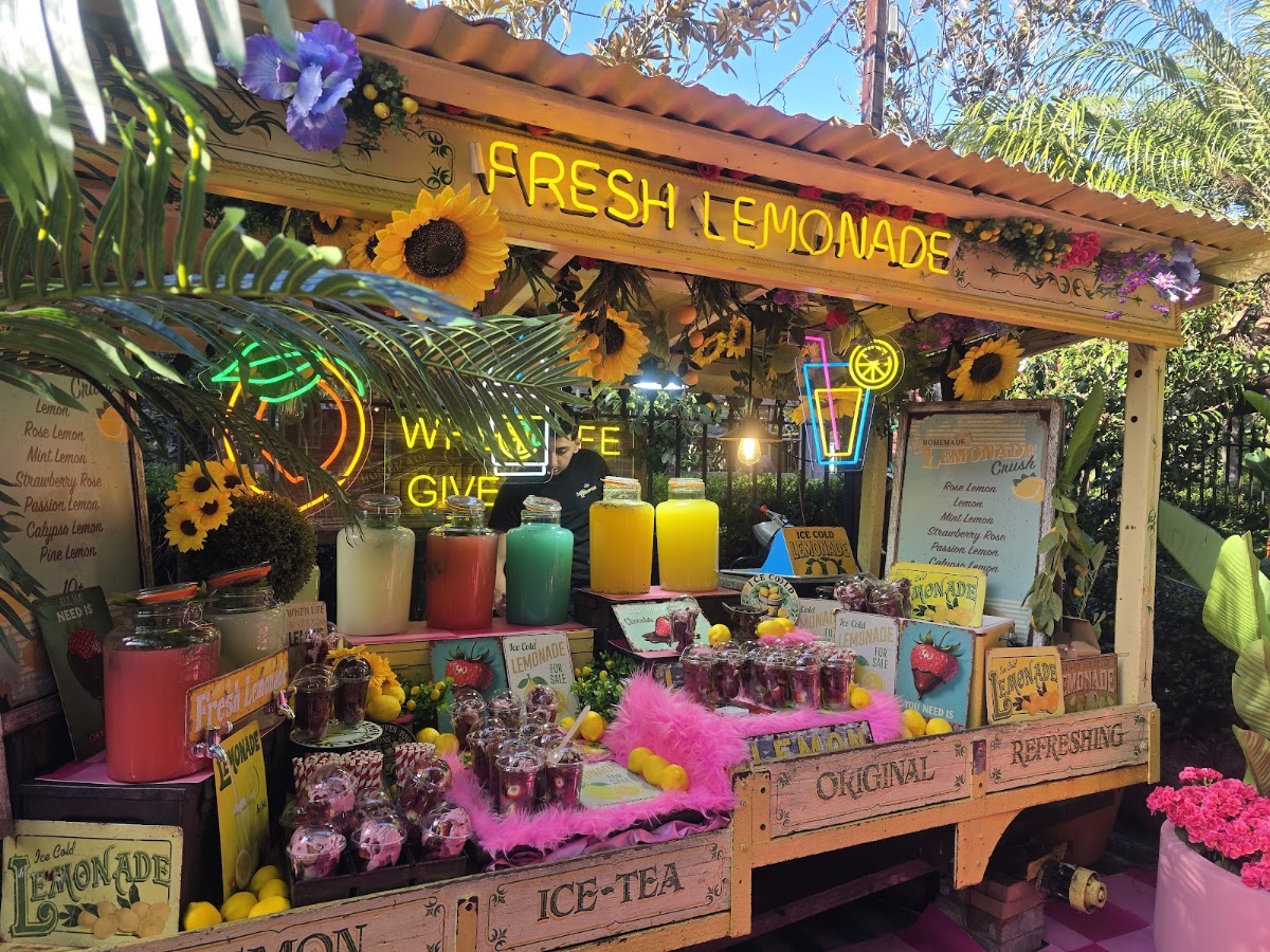 The Grounds of Alexandria — café photo 5