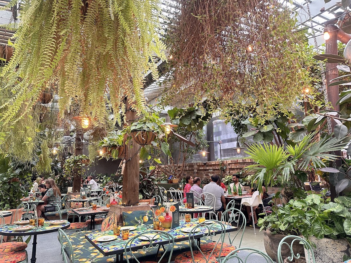 The Grounds of Alexandria — café photo 6