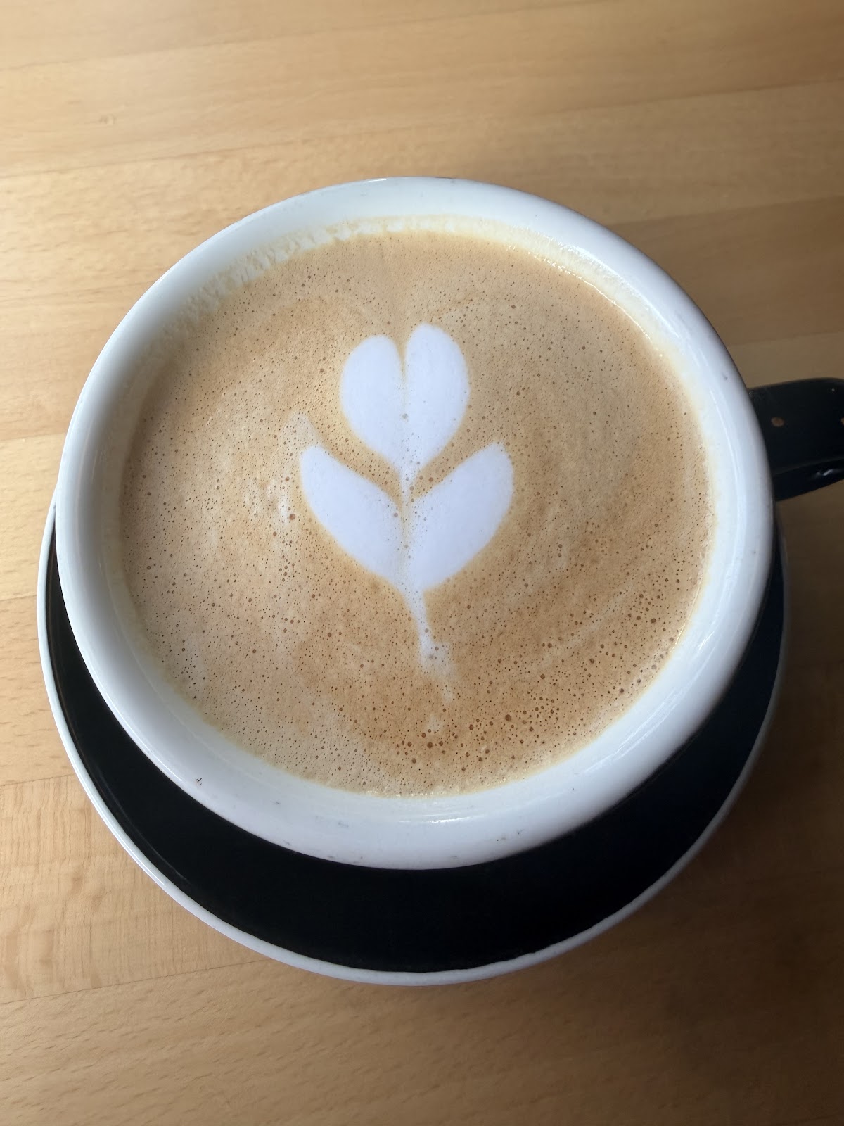 Curio Coffee Cambridge — café photo 3