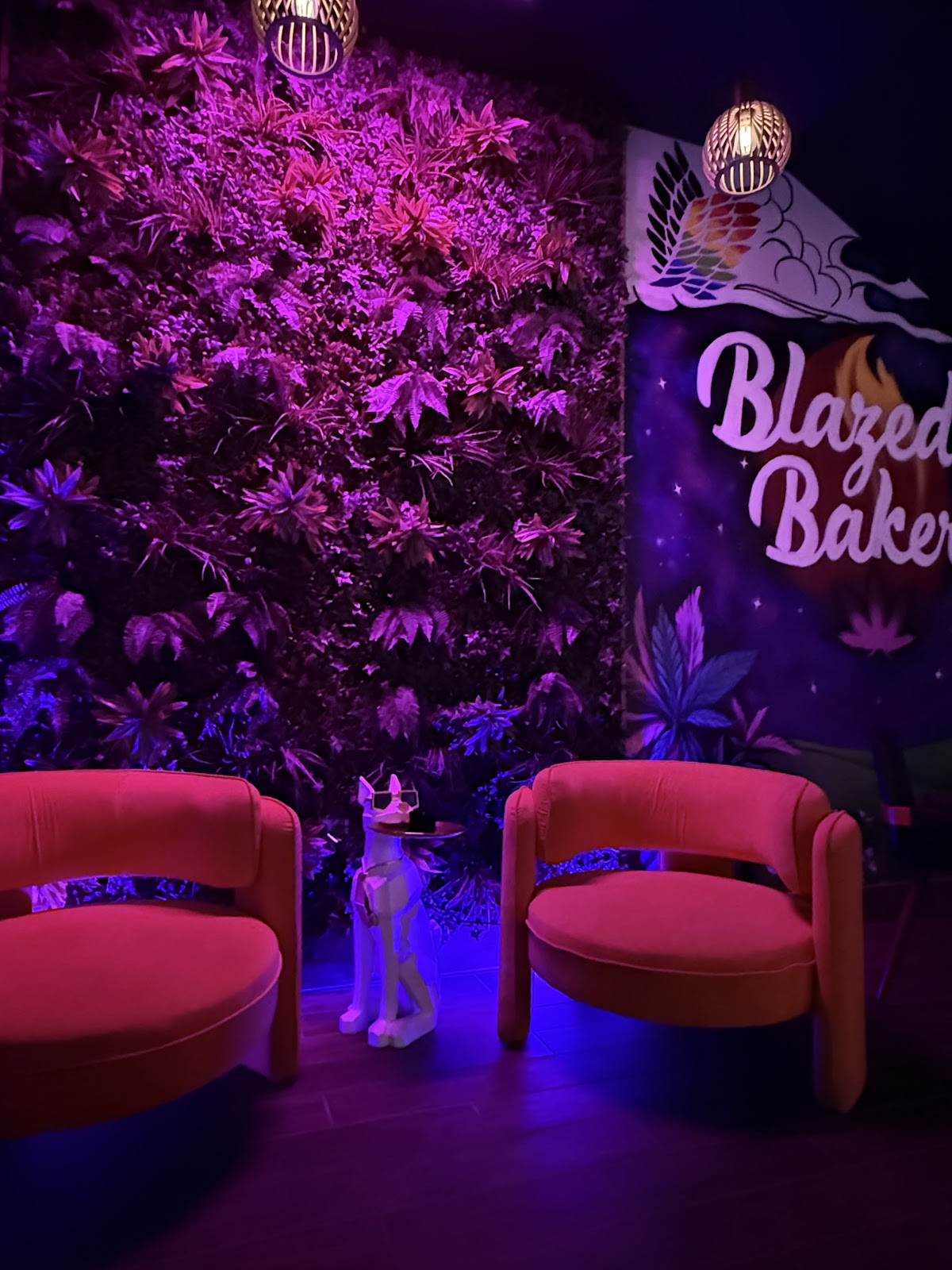 Buzz Killer Espresso — café photo 4