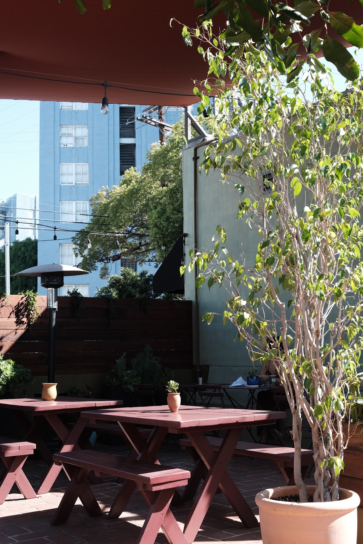 CAFE NIDO: Coffee & Books — café photo 1
