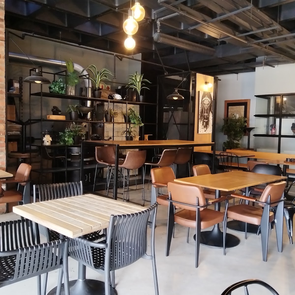 Motherland Coffee Rosebank — café photo 4