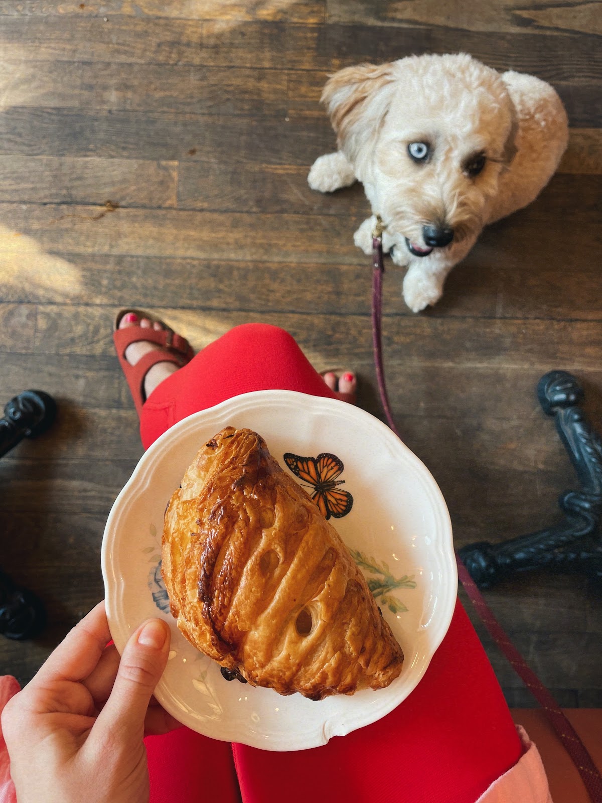 Octavia Coffee — café photo 2
