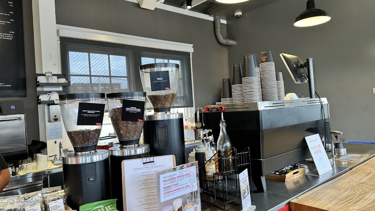 Equator Coffees Fort Mason — café photo 5