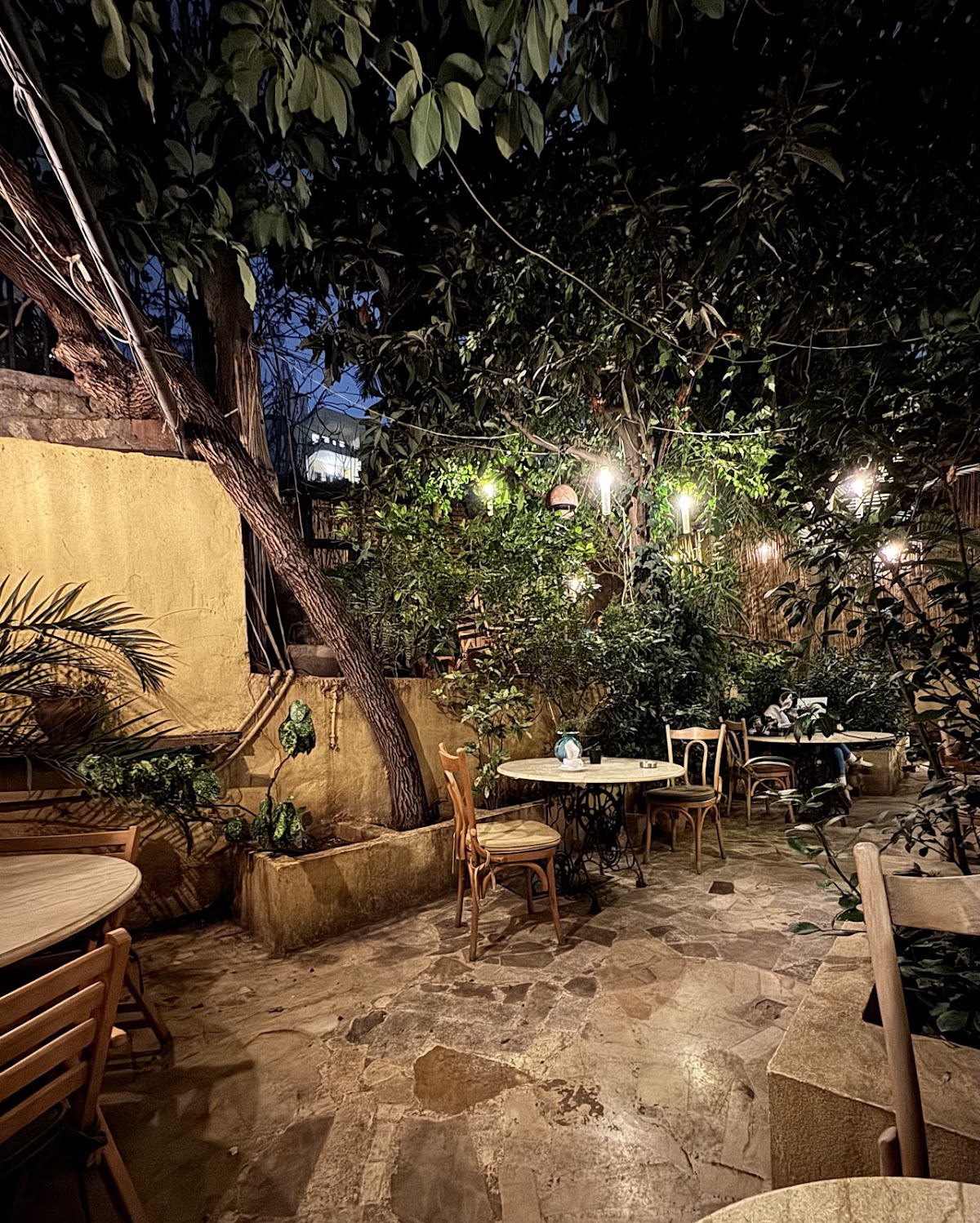 Mikhael's Coffee — café photo 3