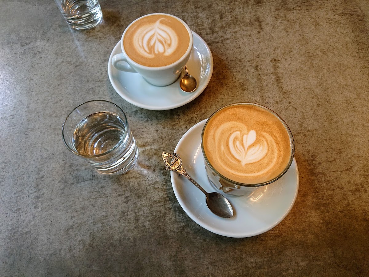 Companion Coffee — café photo 4