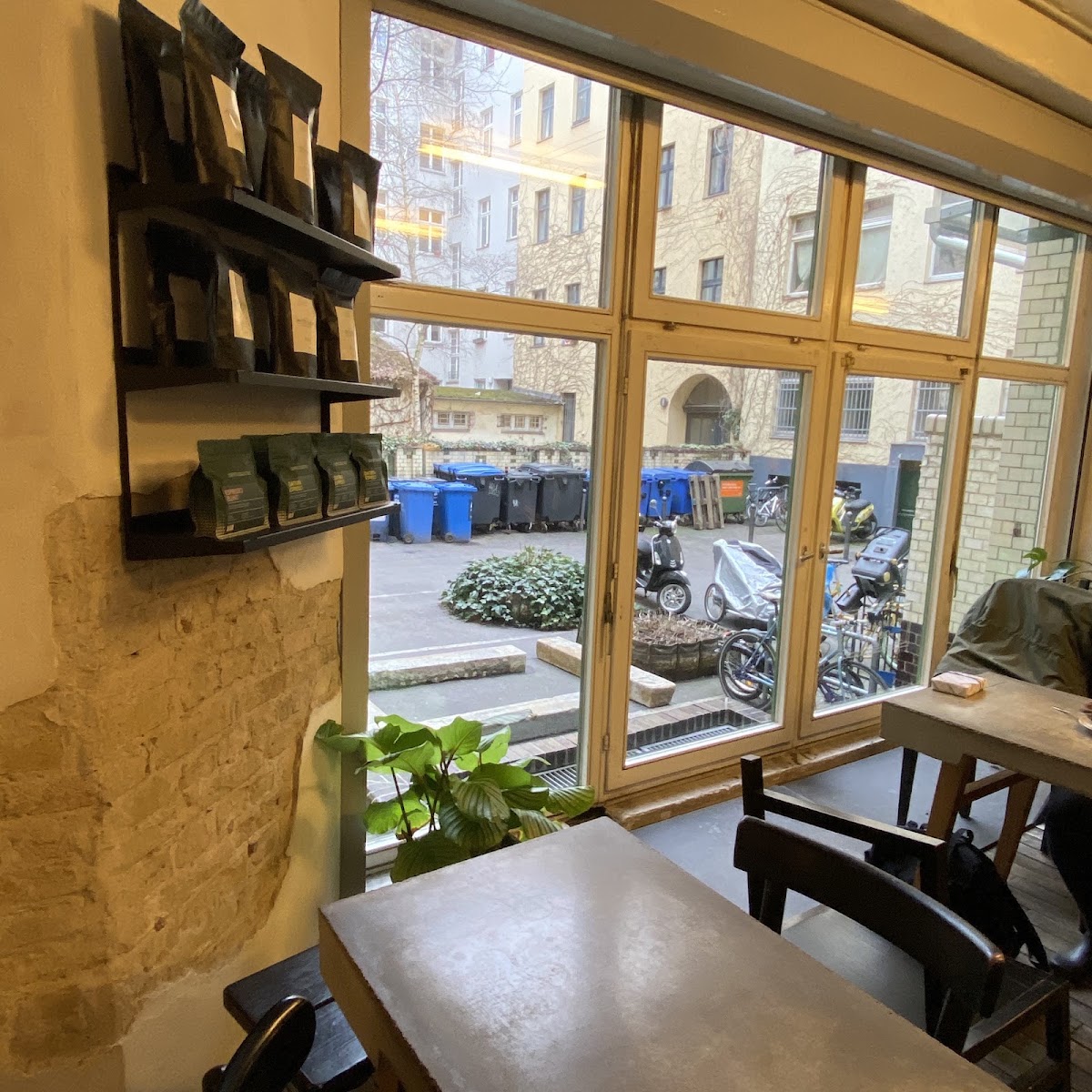 Companion Coffee — café photo 6