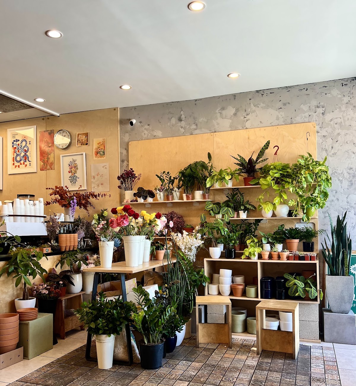 Project Bloom Coffee — café photo 2