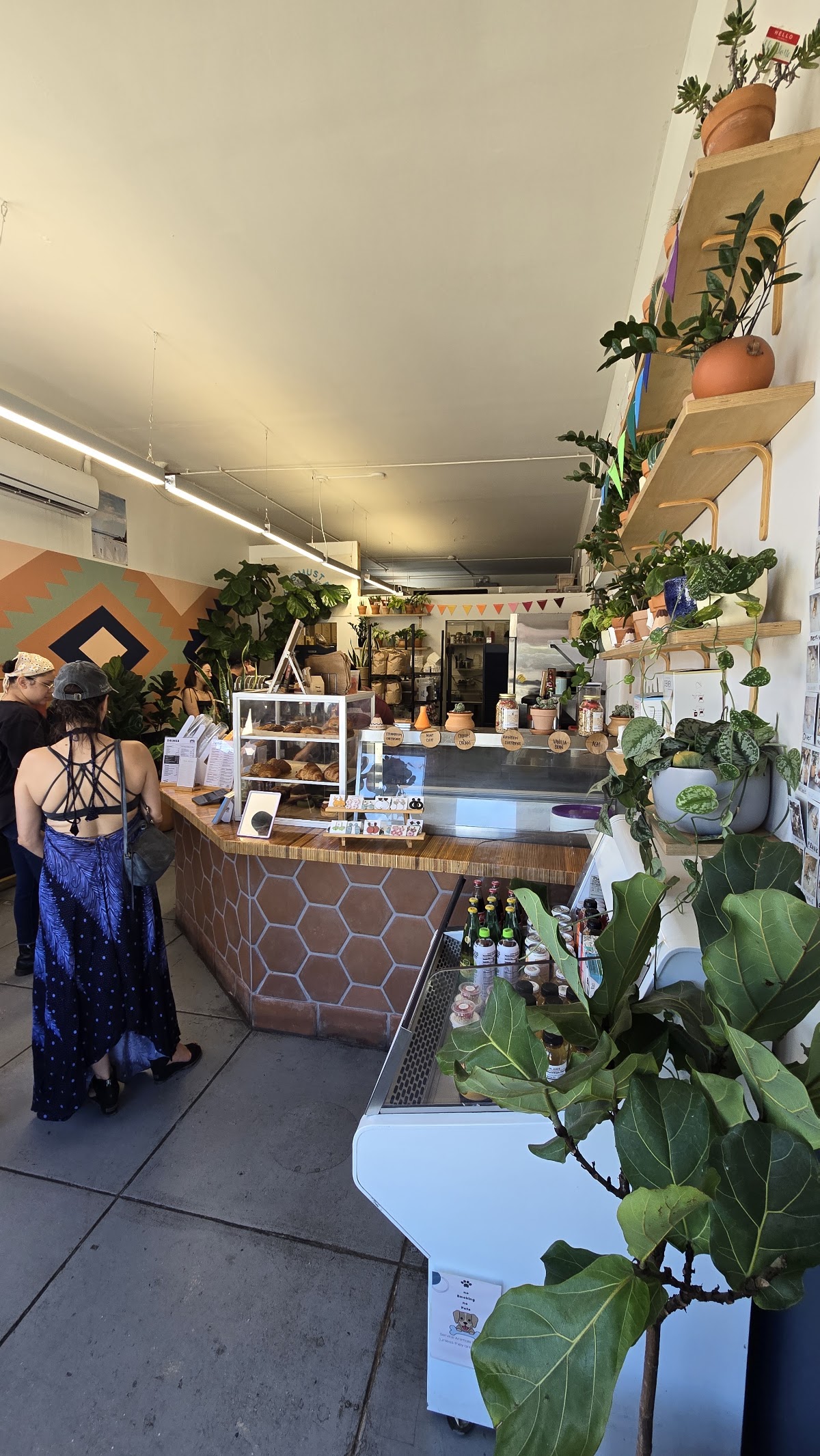 Super Domestic Coffee- Mar Vista — café photo 4