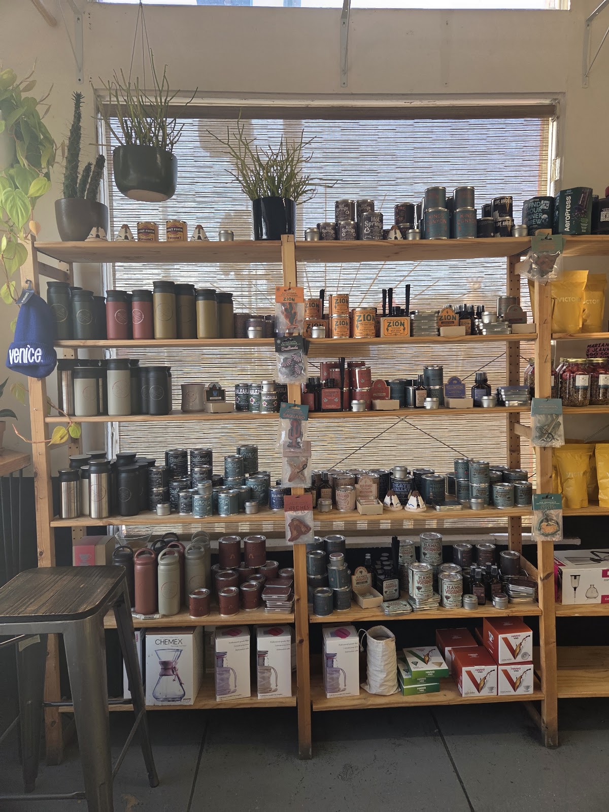 Super Domestic Coffee- Mar Vista — café photo 6
