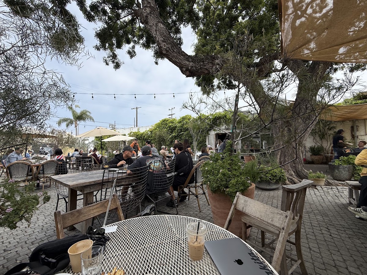 Gjusta — café photo 6