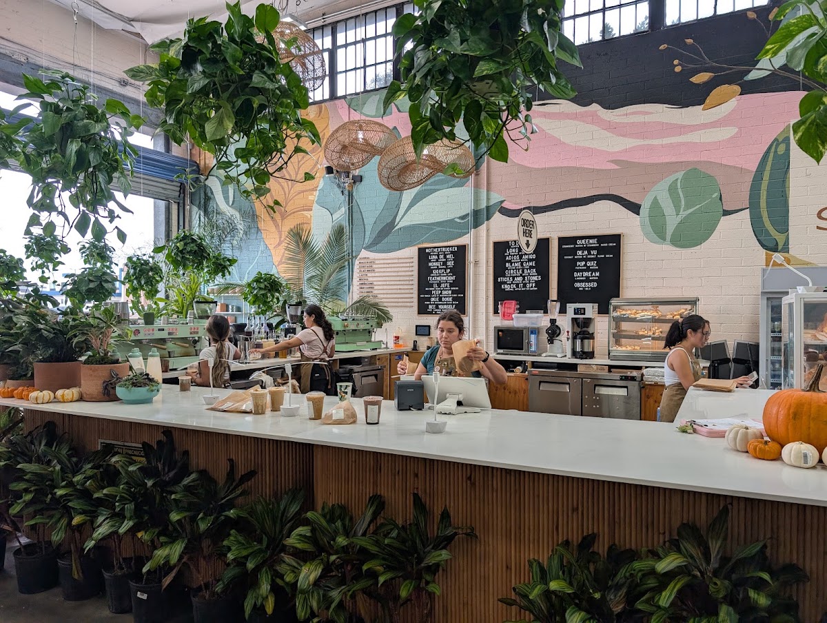 Selva Coffee House — café photo 6