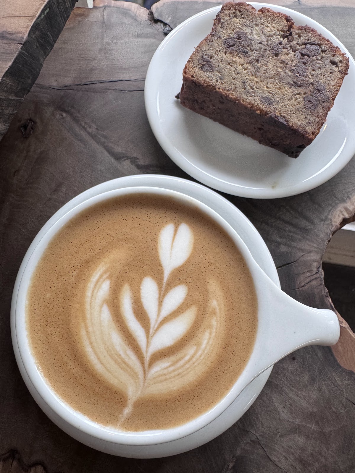 Gracenote Coffee Downtown — café photo 3
