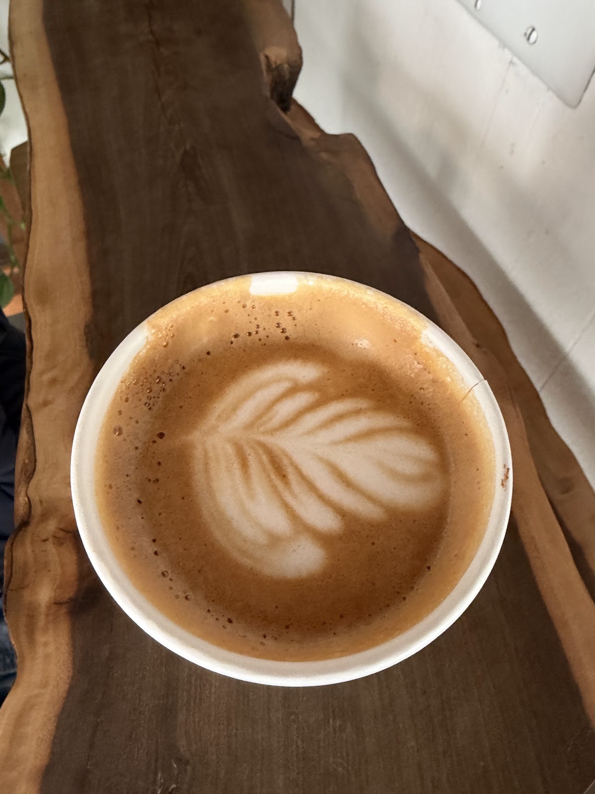 Gracenote Coffee Downtown — café photo 6